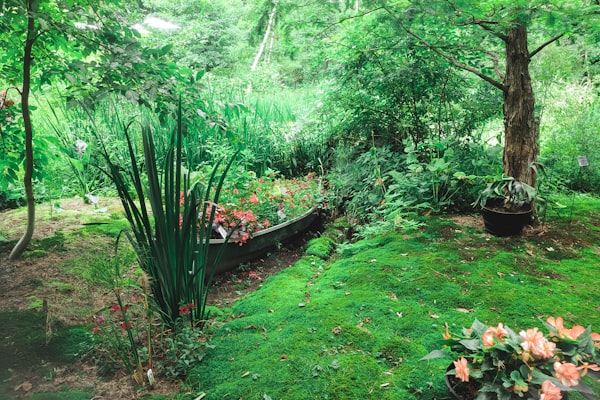 Gartenanlage von mast GARTENGESTALTUNG